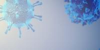 Scientists have created new viruses using AI. Here’s how they did it