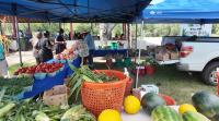 National Farmers Market Week - Get A Taste of Snow Hill
