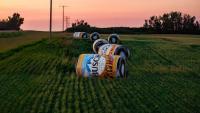 Labatt Breweries raises a toast to Sask. farmers with Baleboards campaign