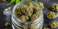 New law allows marijuana sales at farmers markets
