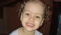 Arkansas girl, 2, dies after being dragged into the woods and eaten by dog