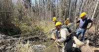 Thanks to daring rescue, unique Colorado cutthroat survives to see another day