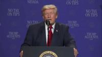 Trump claims Melania documentary is ‘number one movie of the year’