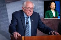 Wisconsin Dem Socialist gov. candidate ruthlessly mocked after Bernie Sanders refuses to endorse campaign