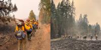 Kentucky crews assist with Washington state wildfire