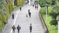 What's Behind Jakarta's Recent Decline in Unemployment?