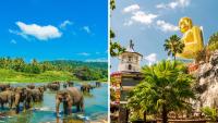 Aussies rush to book bucket-list tour deals with My Touring - and the chance to win a 15-day Sri Lanka escape