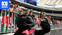 Some of rugby league's truest believers await the NRL in Perth
