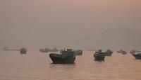 Iran, Oman Close to Finalizing Framework for Temporary Hormuz Shipping Route