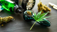 Survey: Patients With Inflammatory Bowel Disease Report Improved Quality of Life, Fewer Opioids Following Cannabis Use