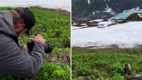 Alaska drone footage turns a tiny marmot into the star of a glacier-carved mountain scene