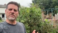 Maryland gardener shares 6 late-summer tomato moves to keep harvests going until frost