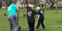 Goehring awards $120,000 in orchard grants to four North Dakota organizations