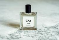 How Paper + Spark turned a cat’s nose into a national media story for NexGard SPECTRA