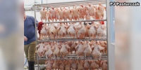 New Iowa County poultry processor fills gap for Eastern Iowa farmers