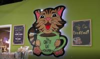 Join the Meow-A-Thon with Chatty Cat at Taste of Ohio
