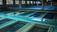 Limited supply forces fluoride cut in Milwaukee area drinking water
