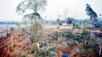 Vietnam–U.S. Cooperation In Addressing The Long-Term Health Effects Of Agent Orange – Analysis