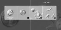 ‘Cyclospora skinny’: Missouri health officials warn the disease is not a diet