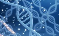 Scientists discover a ‘skinny gene’ mutation that acts like Ozempic