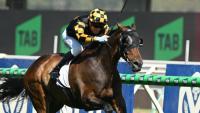 Spain has Grand designs on Caulfield prize after Darwin success