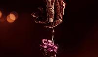 I Noticed Blood (Not A Body) In Ariana Grande’s New Music Video