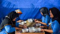 How Indonesian Coffee Farmers and Exporters Face EUDR Rules