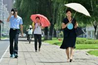 World AFP North Korea touts dog soup and other home-cooked recipes to beat the heat