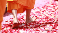 Cambodia’s Top Buddhist Leaders Warn Monks To Reflect On Behavior