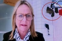 New Zealand politician caught joining city council meeting from bathroom with underwear drying