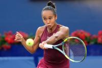 Sports bettors lead the online mob of harassment that WTA players face