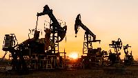 ONGC can operate 2 Venezuela oil blocks; regained stake in Sakhalin-1 project in Dec 25