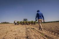 Farm bill stalls in Senate