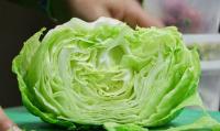 ‘The worst is behind us’: Cyclospora outbreak seems to be slowing in Michigan