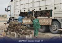Oman’s Environment Authority clarifies rules on illegal logging and seized firewood