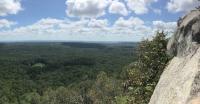 Forever Wild votes to acquire 6,168 acres across Alabama in 6 counties
