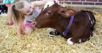 Ways to save money at the Indiana State Fair