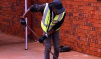 South Africa's growing population: A youthful workforce amidst job scarcity