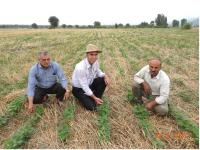 Conservation Ag Champions: Unrewarded Heroes of Sustainable Farming in Developing Countries