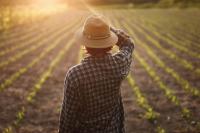 Agricultural experts weigh in on this year’s increased input costs for farmers