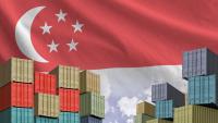 Singapore signals S$9.5bn export hit from new US tariff