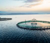 Atlantic Canadian Ocean Tech Firms Expand into Europe Through Aquaculture UK