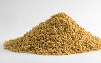 Vietnam’s feed industry faces costs, disease, and opportunity