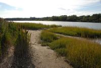 NYC Has 12,000 Acres of Forests, Wetlands & Other Natural Areas. Many Lifelong New Yorkers Don’t Know They Exist.