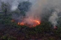 Fighting forest fires starts with communities