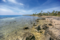 Delft Island Set for Zero-Emission Tourism Revolution