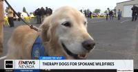 A four-legged friend is helping provide comfort to firefighters battling wildfires in Washington state