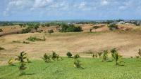 Residents seek answers as Caroni lands cleared
