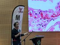 Veterinary Pathologist Says Animal Diseases Hold Clues To Human Disease