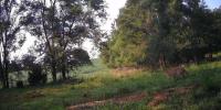 Nebraska Game and Parks confirm mountain lion sightings north of Staplehurst
